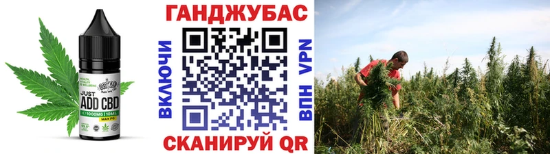 Купить где  Лиски  Еда ТГК конопля 