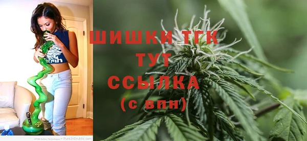 PSILOCYBIN Богородск