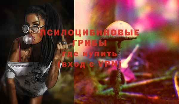 PSILOCYBIN Богородск